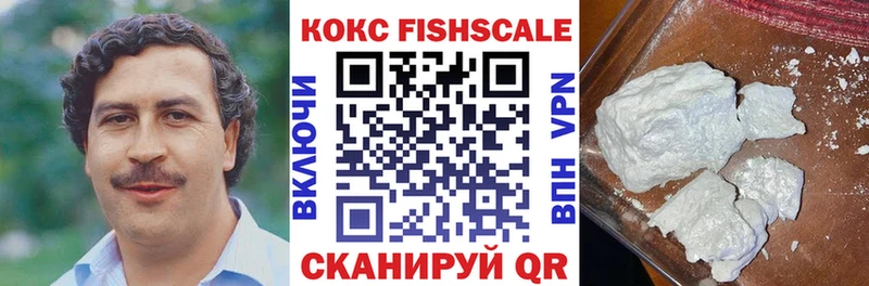 где можно купить   Николаевск-на-Амуре  COCAIN Эквадор 