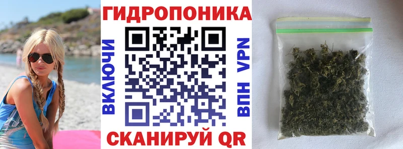 darknet телеграм  Николаевск-на-Амуре  Канабис OG Kush  где купить наркоту 